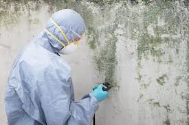 Mold Remediation for Rental Properties